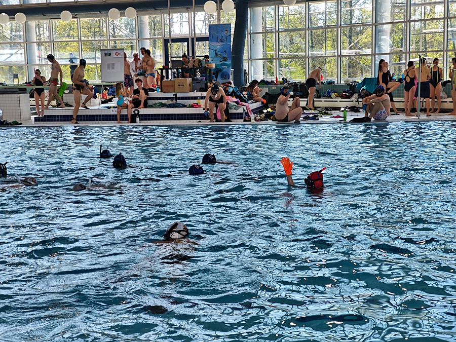 Hokej pod wodą Walenie Czeskie Budziejowice Bud Pig Cup 2026